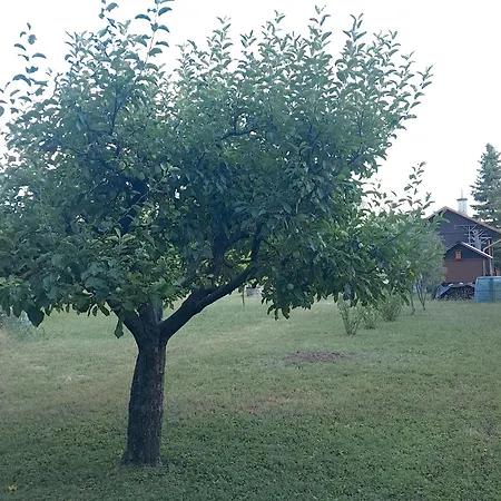 Kemp Pro Karavan A Stan S Chatkou *