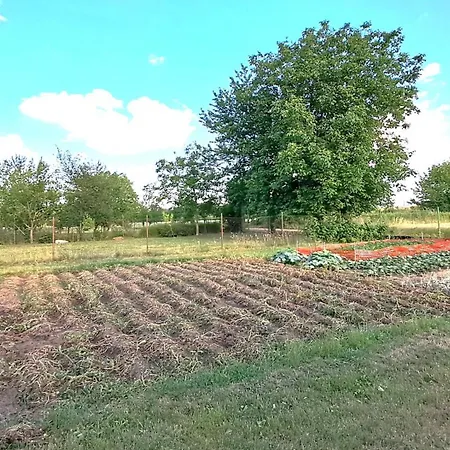 Camping Pro Karavan A Stan S Chatkou Veselí nad Moravou